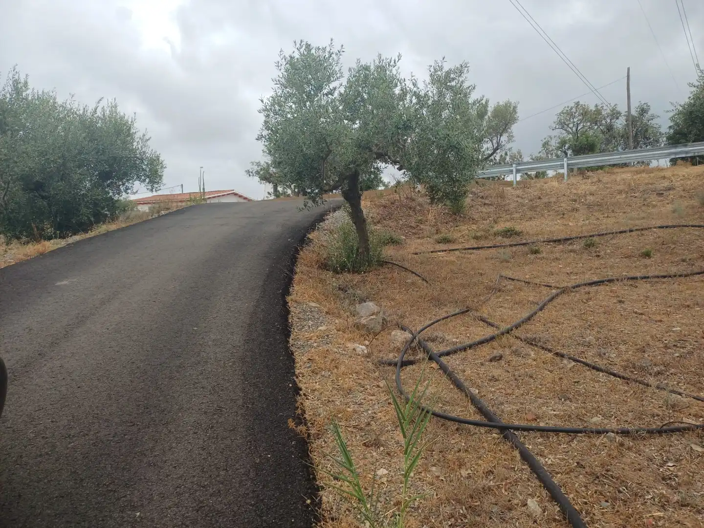 Terreno en venta en Vilanova d'Escornalbou
