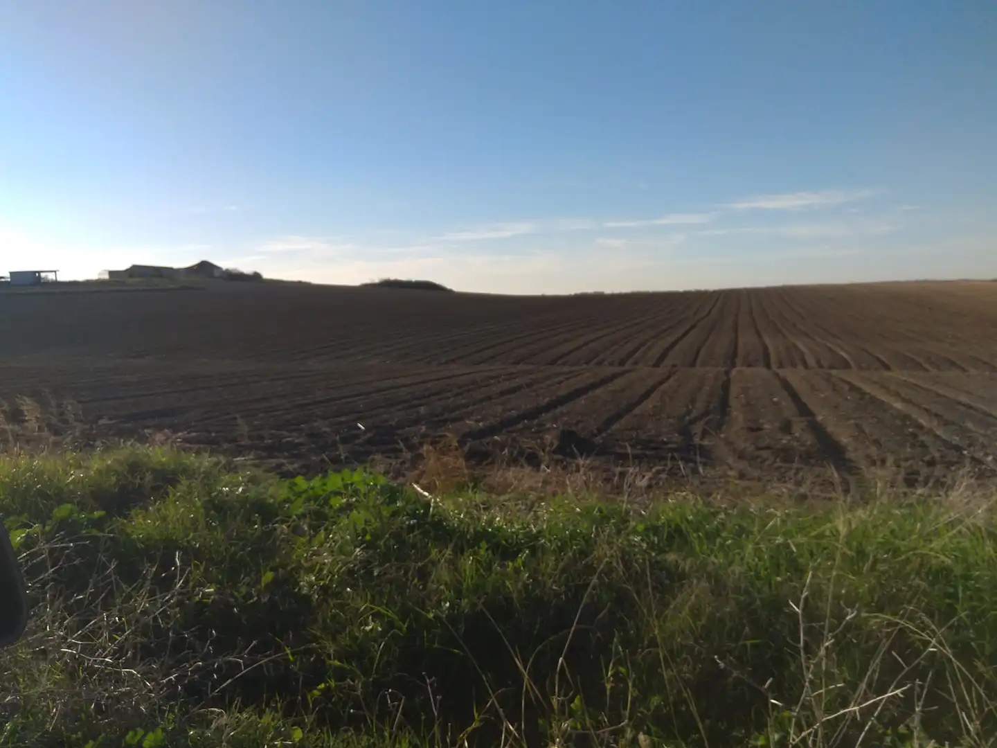 Terreny rústic en venda a Ctra Jerez - Ctra del Puerto