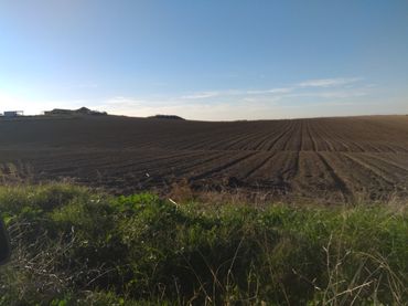 Rustikales Grundstück zum Verkauf in Ctra Jerez - Ctra del Puerto