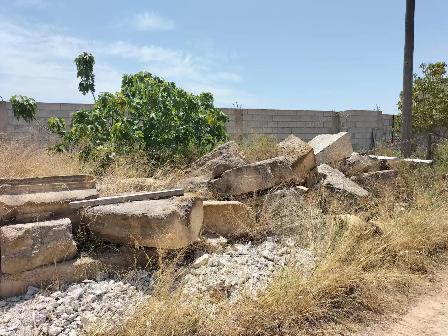 Rural land for sale in La Murada - Los Vicentes, imagen 23