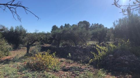 Photo 4 of House or chalet for sale in Polígono Polígono 16 Parcela 8, Chella, Valencia