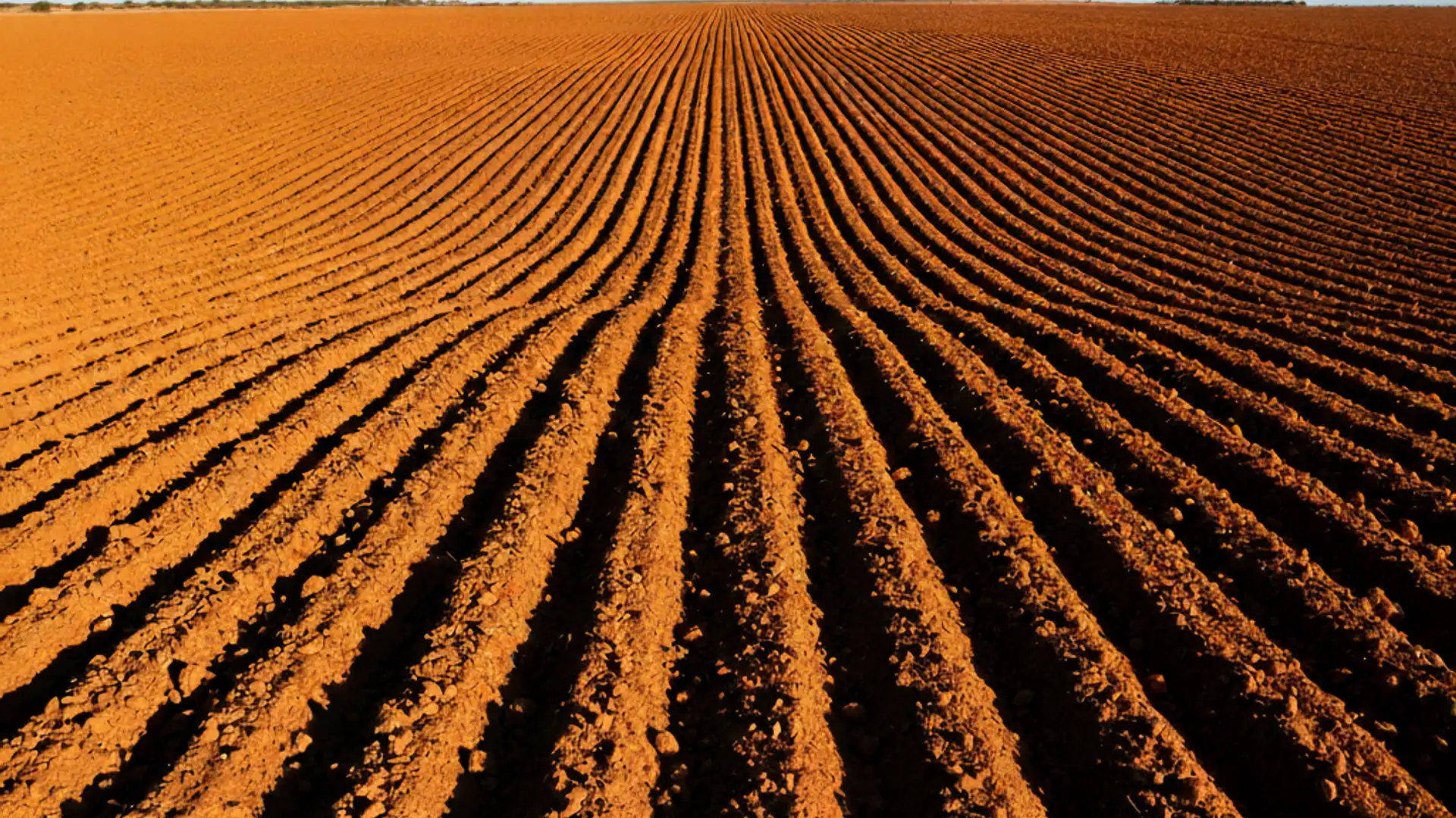 Terreno en venta en El Ejido