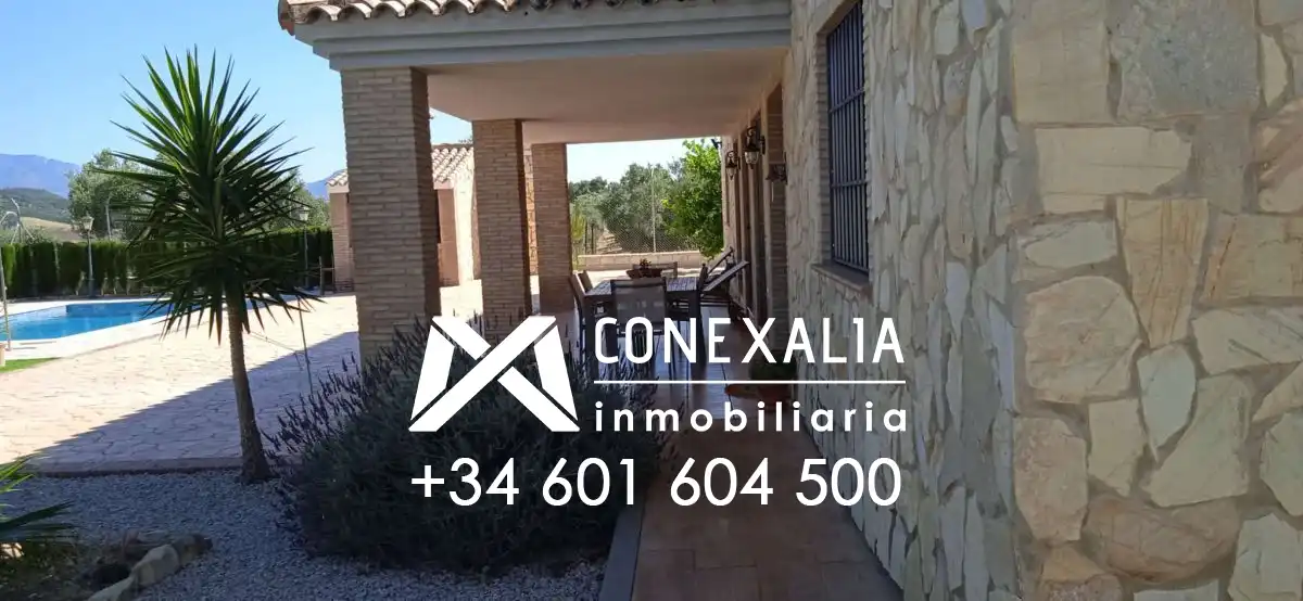 Vista exterior de Finca rústica en venta en Algodonales con Piscina