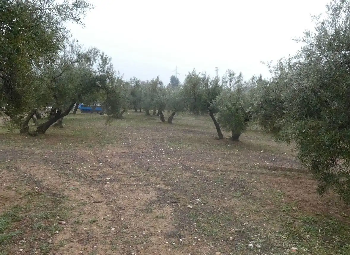 Terreni e lotti in vendita a Peligros, imagen 16