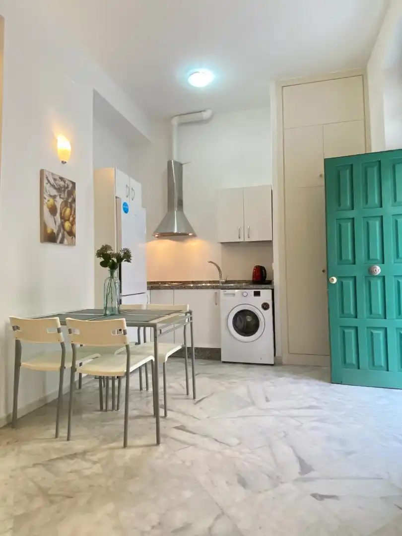 Cocina de Apartamento en venta en Sevilla con Aire acondicionado, Amueblado y Lavadora