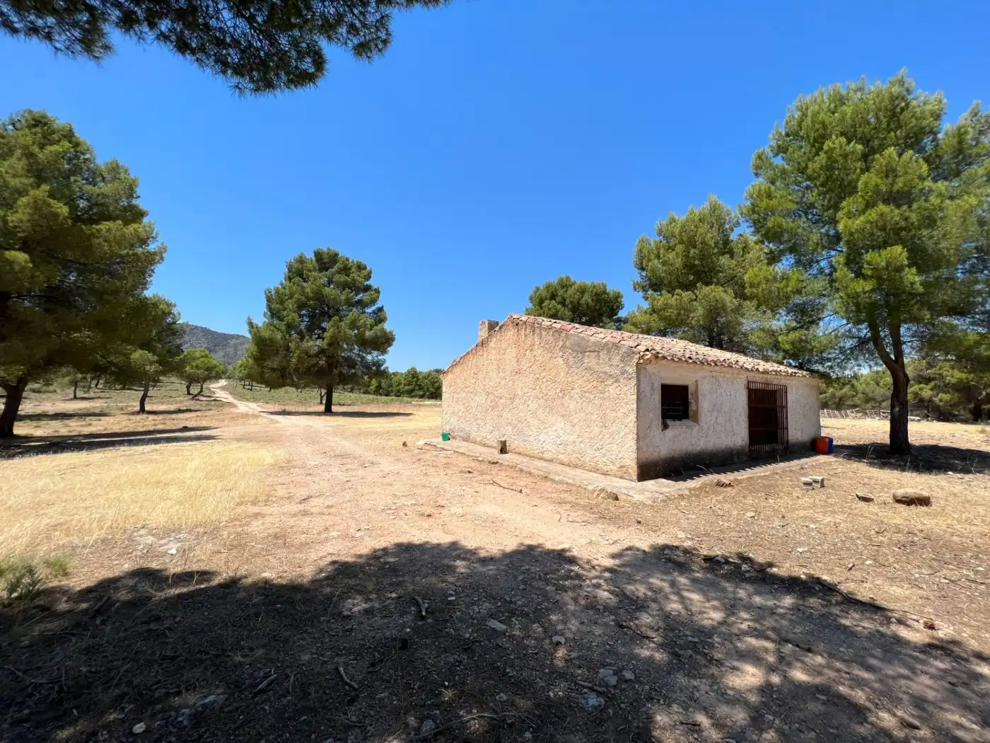 Terreno en venta en Férez