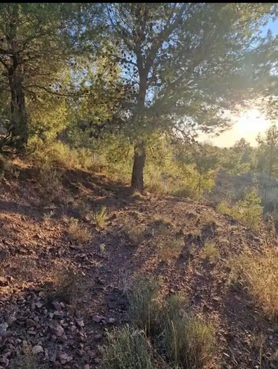Casa o chalet en venta en Aledo