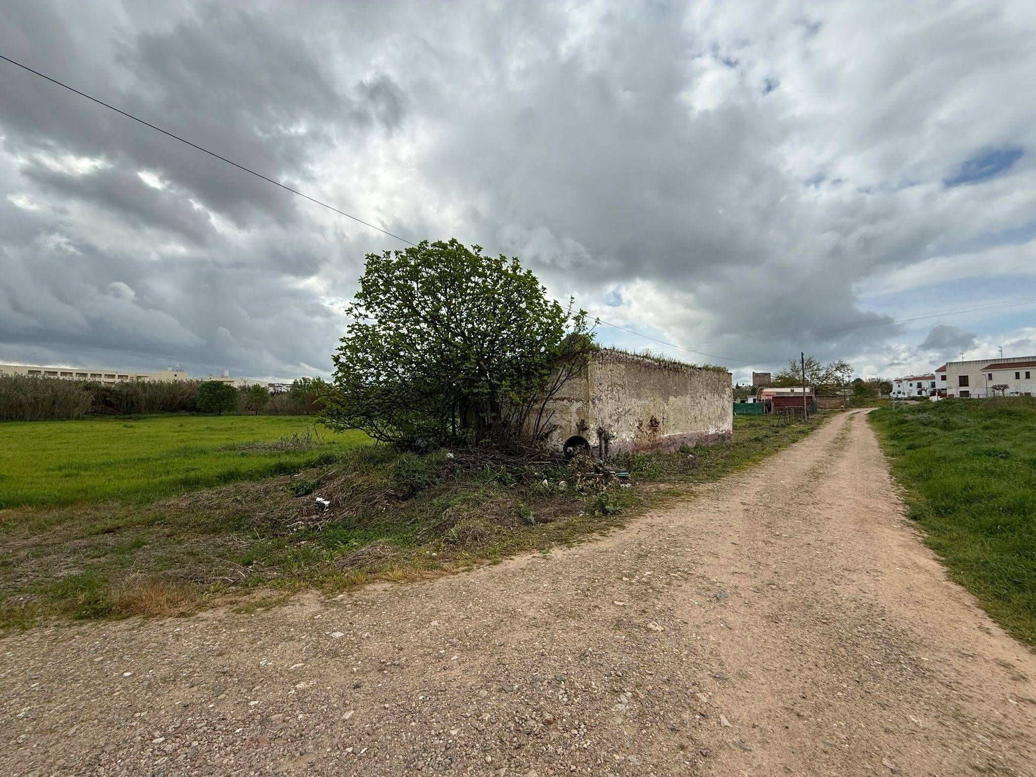 Finca rústica en venda en Olivenza