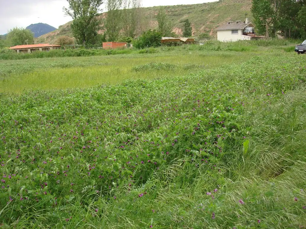 Terreno rústico en venta en Ribafrecha, imagen 6