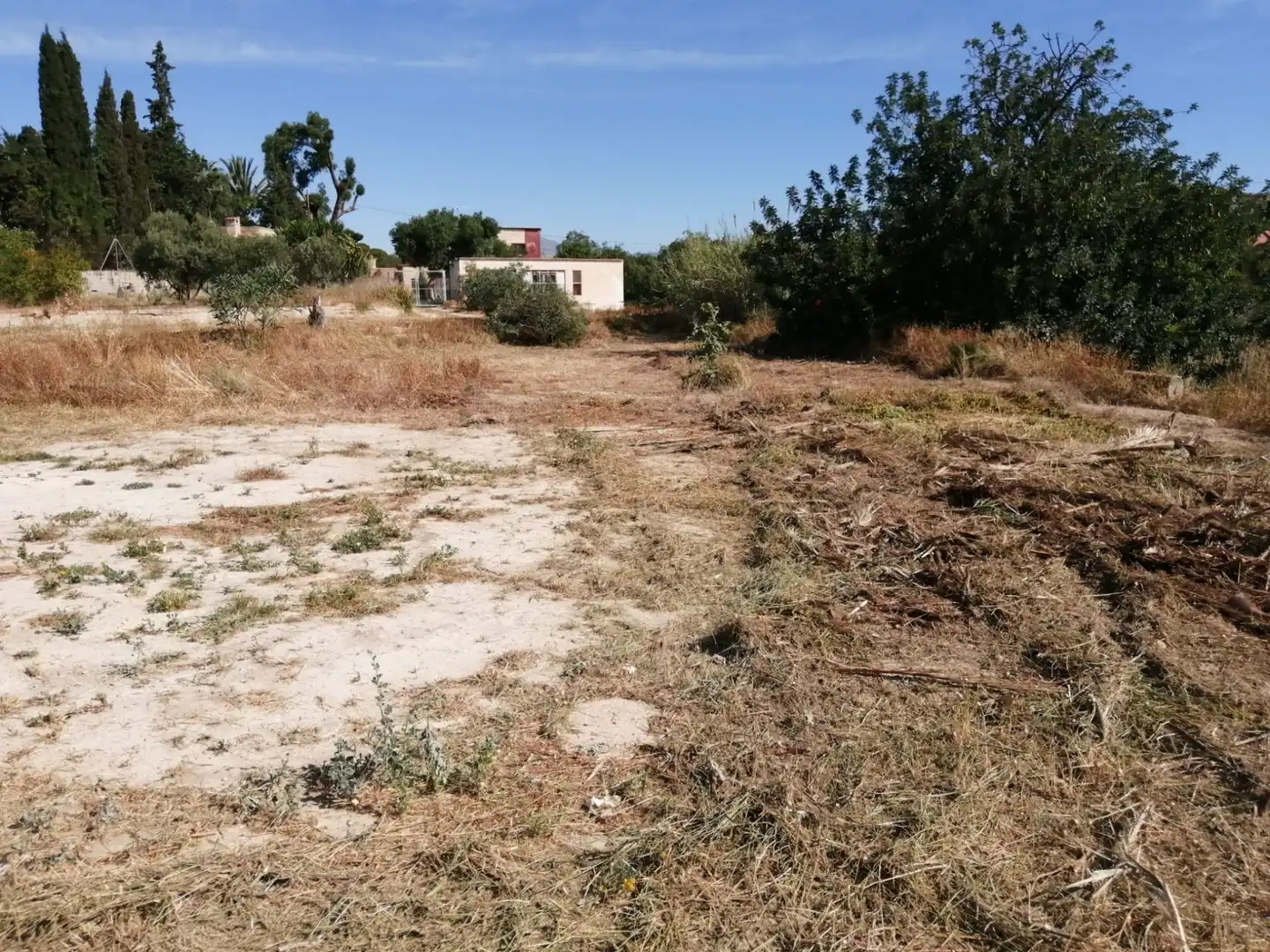 Rural land for sale in Musico Josep Serrano, imagen 3