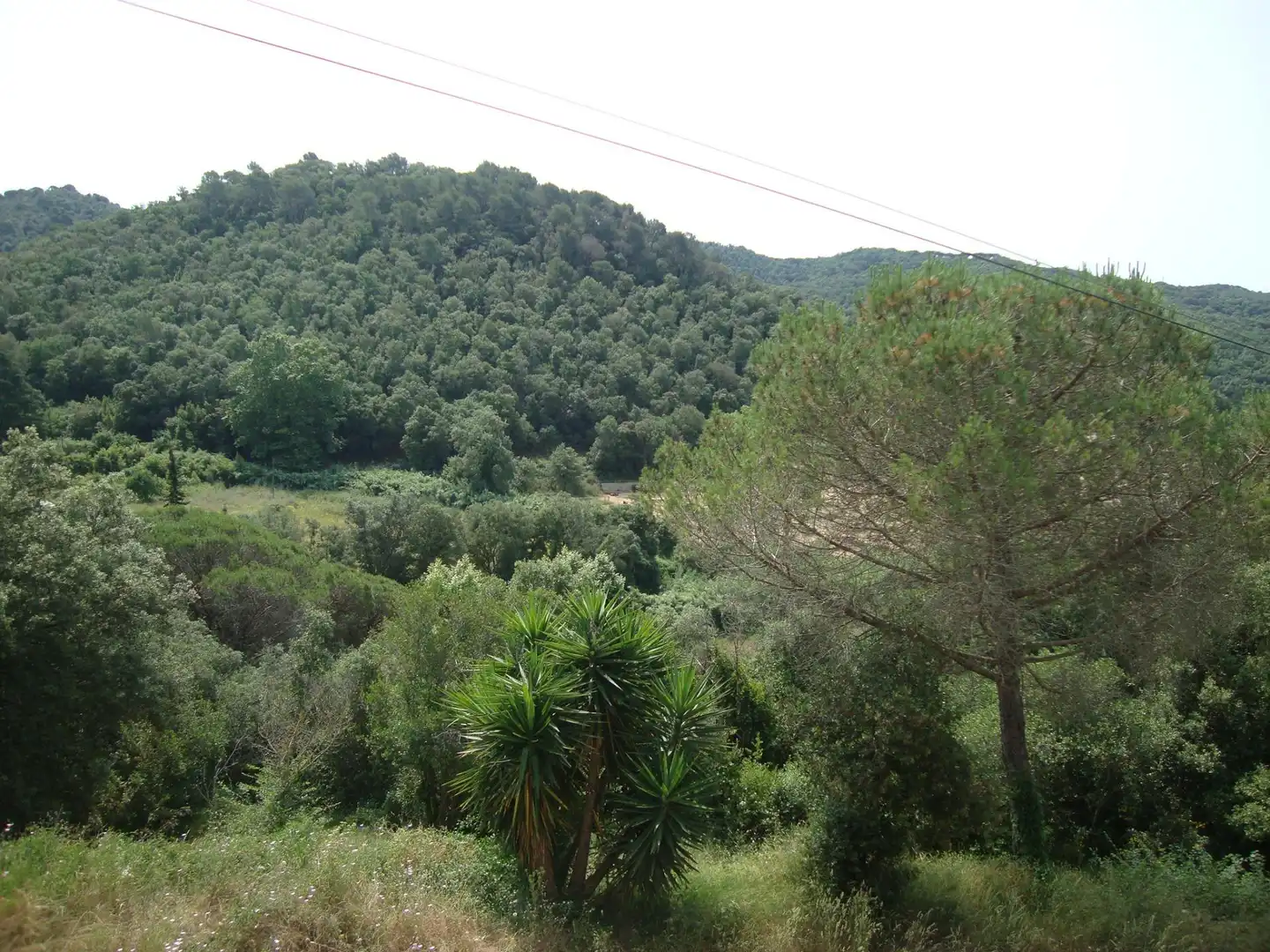 Casa amb terrassa en venda a Sant Cebrià de Vallalta, imagen 61