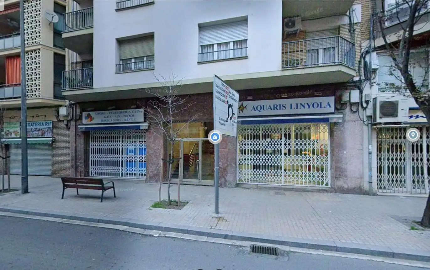 Local comercial en traspàs a Príncep de Viana 100
