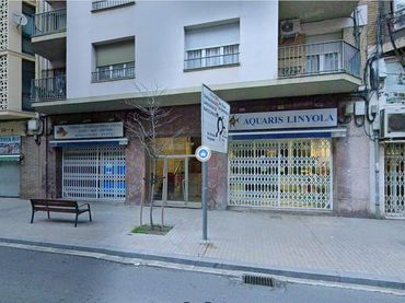 Local comercial en traspàs a Príncep de Viana 100
