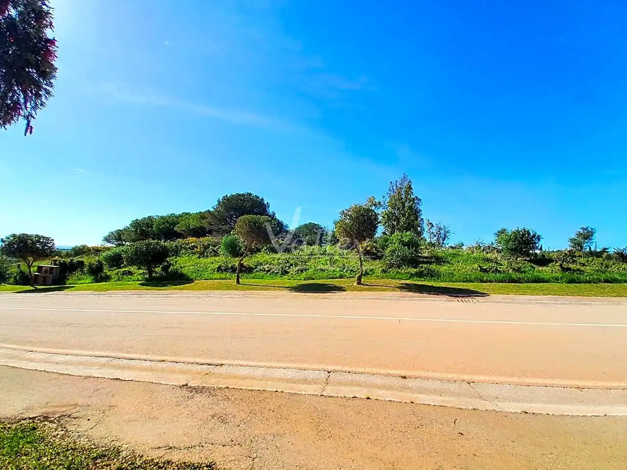 Terrenys i solars en venda a Sotogrande Alto, imagen 14