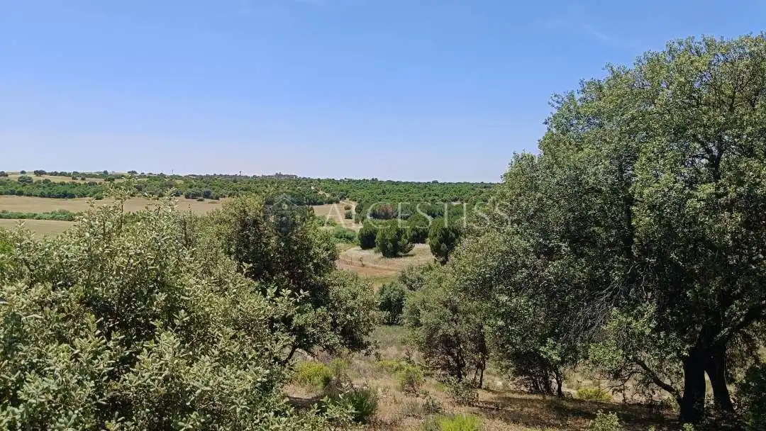 Terreno en venta en La Torre de Esteban Hambrán
