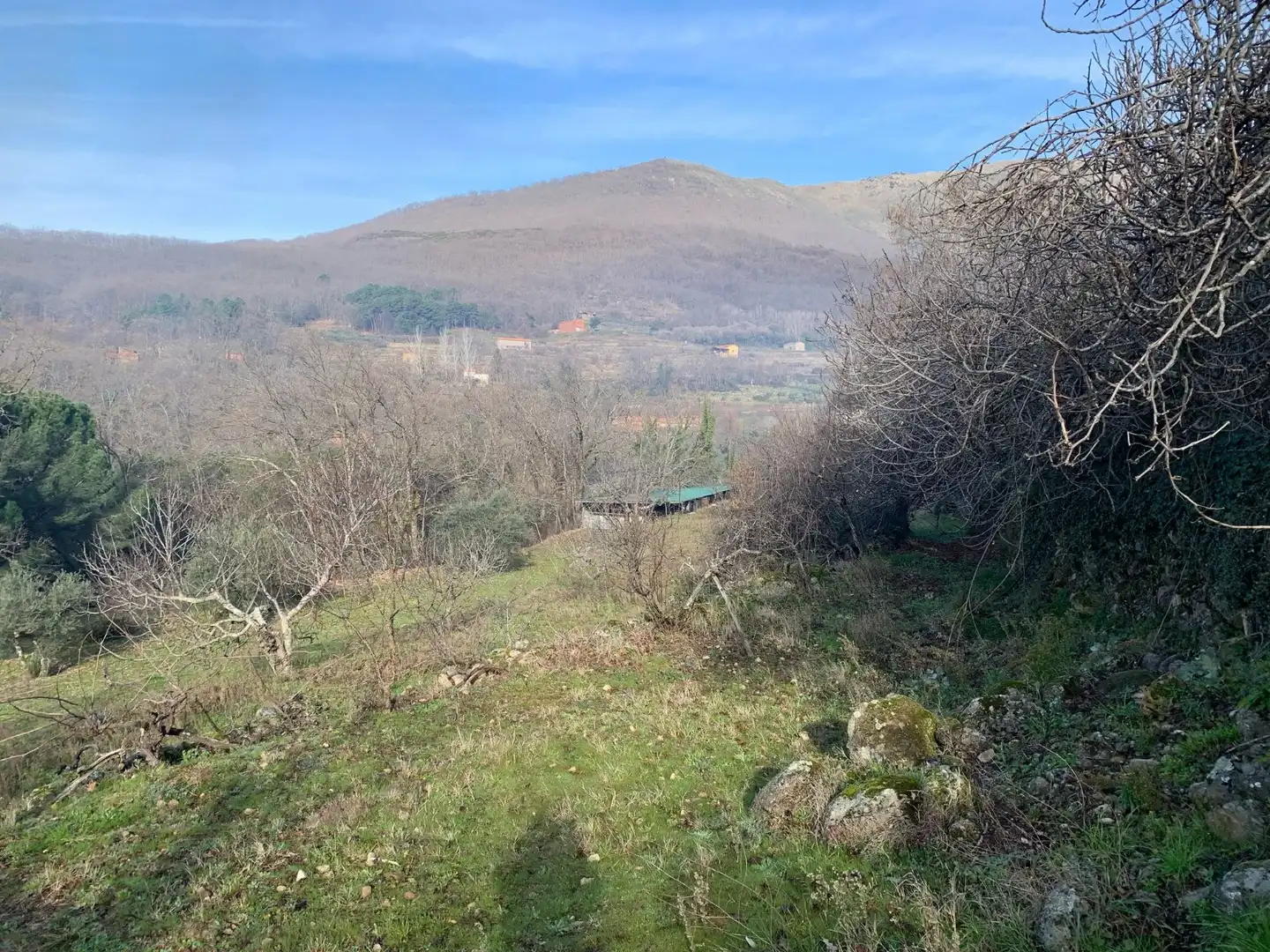 Land for sale in Jarandilla de la Vera