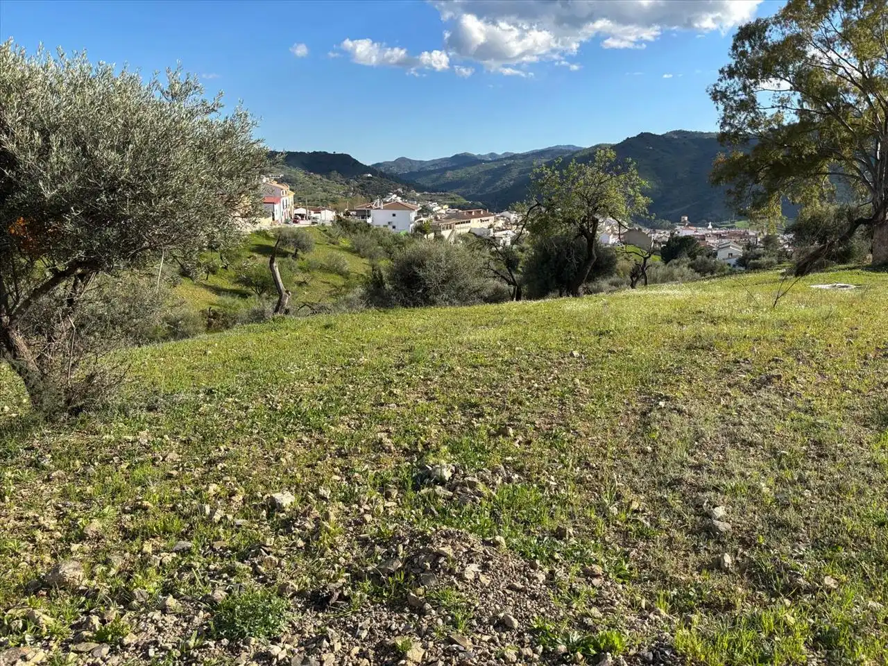 Terreni e lotti in vendita a Majiaza, imagen 2