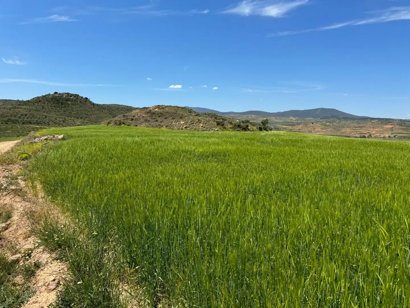 Terreno rustico in vendita a Cervera del Río Alhama, imagen 5