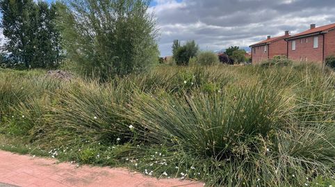 Terreno Urbanizable en Centro de Municipio - Oportunidad de Inversión, immagine 5