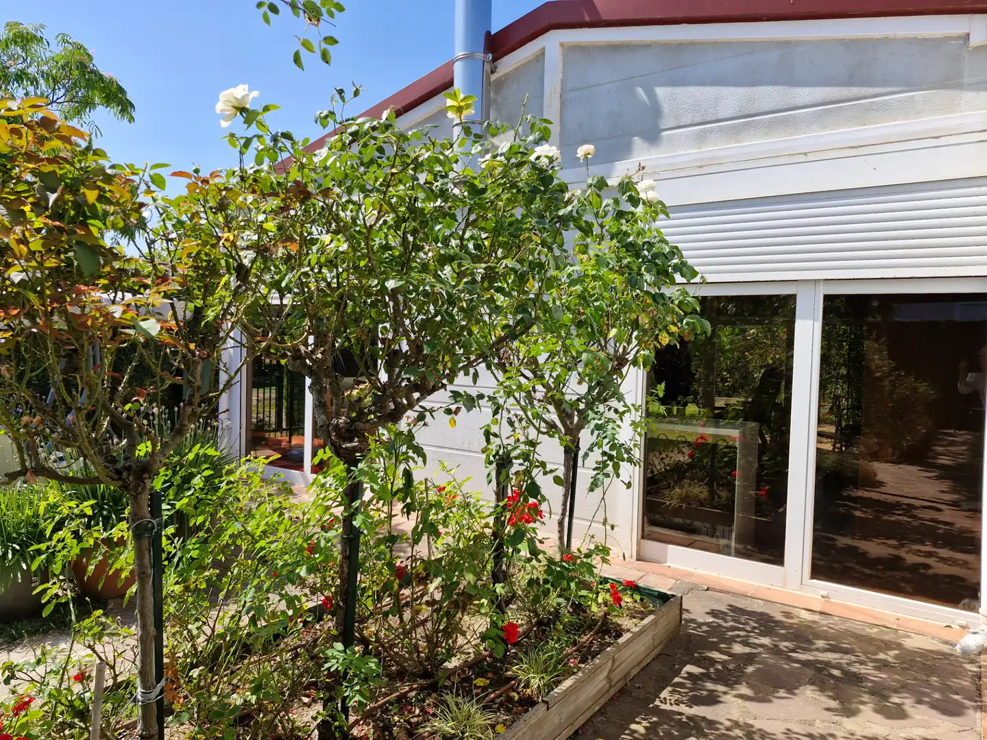 Garden of Land for sale in Fuenmayor