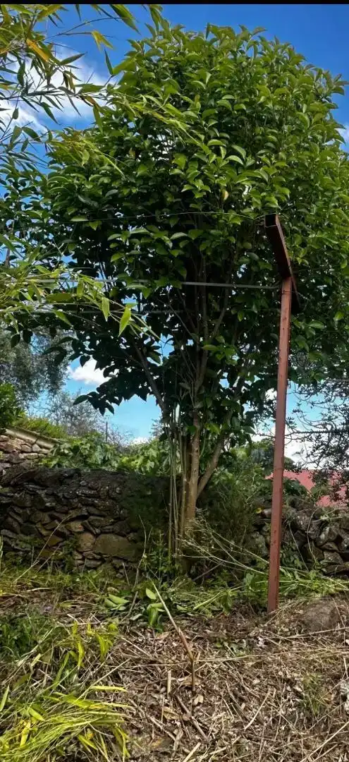 Planta baja en venta en Alconchel con Amueblado, Lavadora y TV