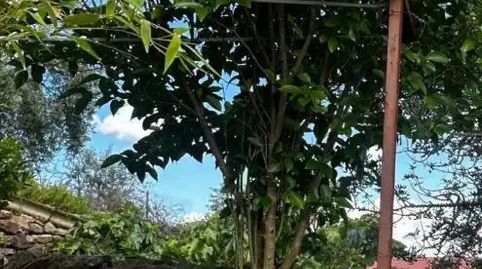 Foto 5 de Planta baixa en venda a Calle Laderas, 6, Alconchel, Badajoz