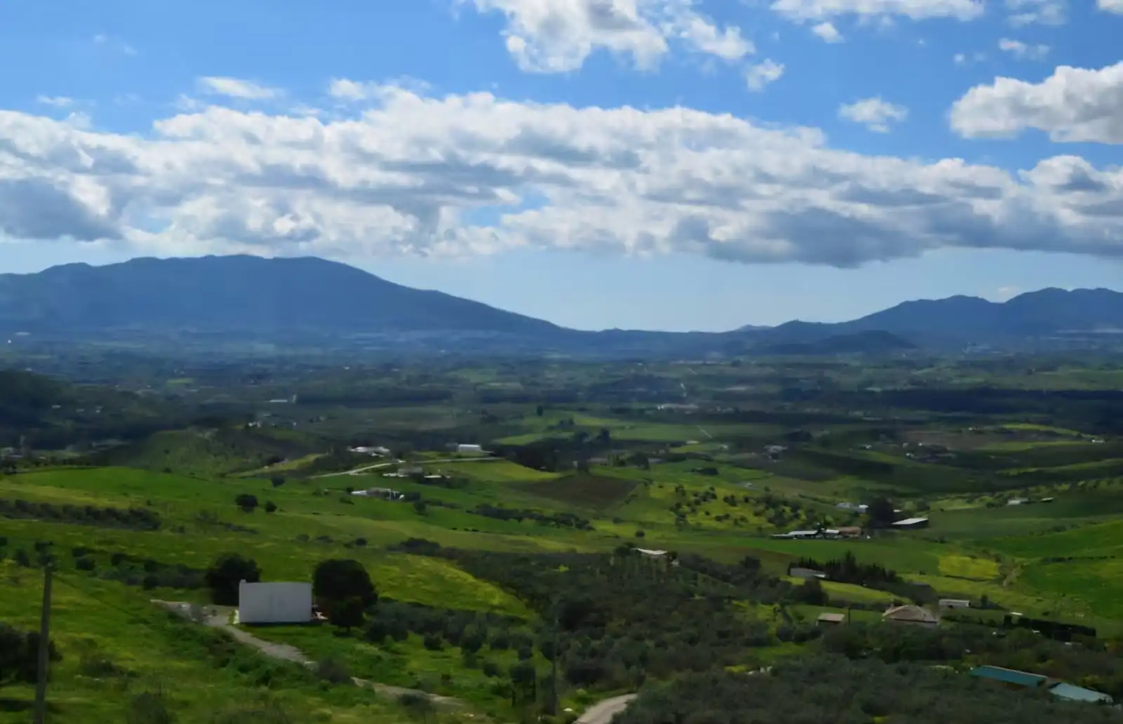 Vista exterior de Finca rústica en venda en Pizarra