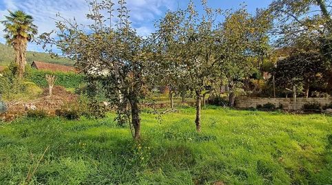 Foto 4 de Casa o xalet en venda a Barro Granxal, Mondariz, Pontevedra
