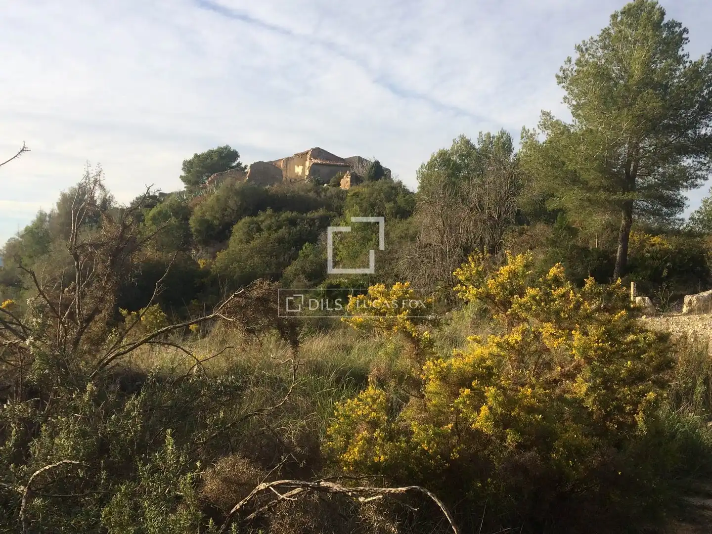 Casa rustica in vendita a Castellet i la Gornal, imagen 6