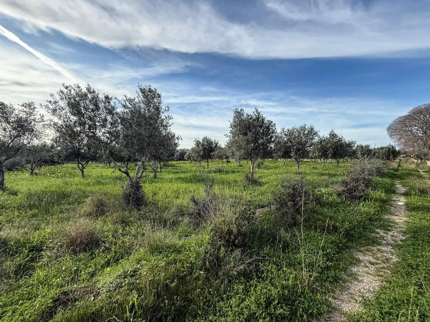 Land for sale in Diseminado Poligono 17, Selva