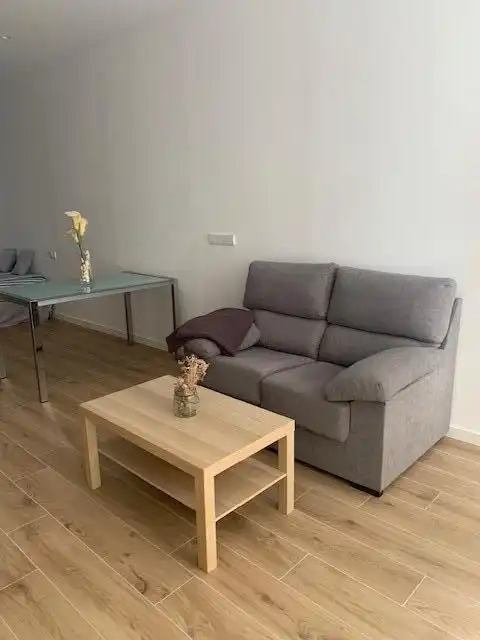 Sala de estar de Loft de alquiler en Elche / Elx