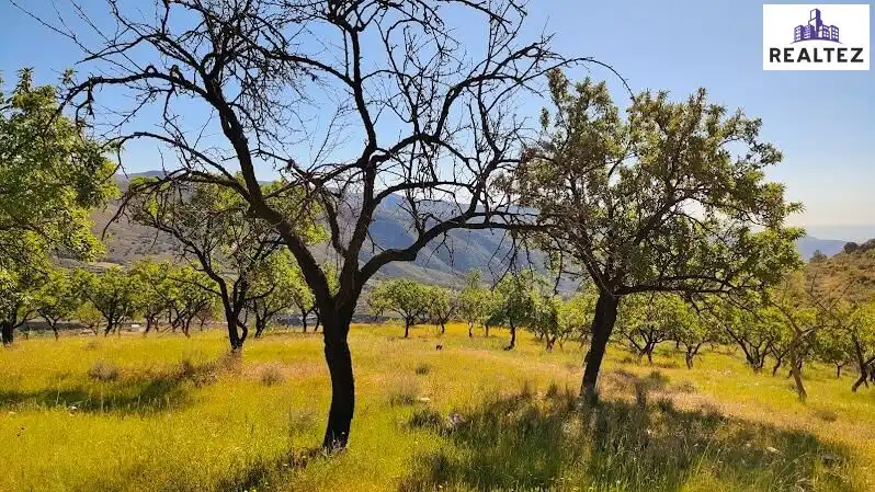 Rural land for sale in Felix, imagen 27
