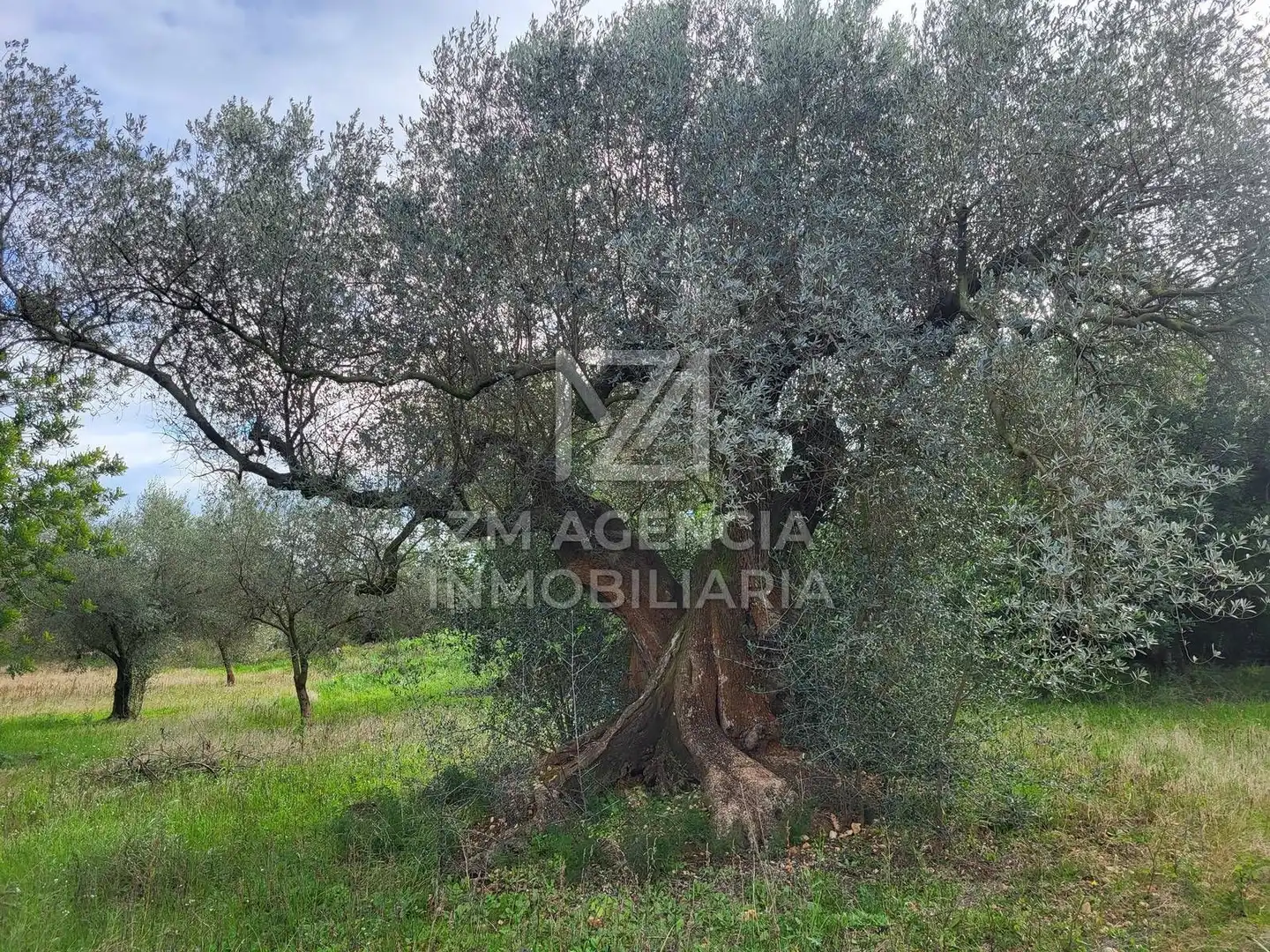 Terreno rustico in vendita a Cabanes