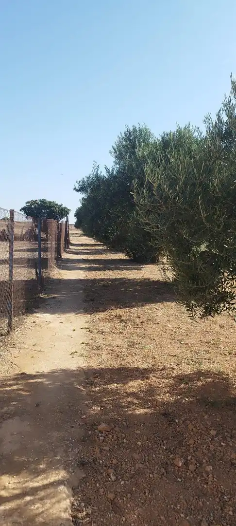 Terreno en venta en Puerto Real