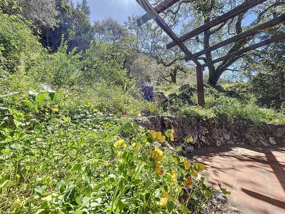 Jardín de Finca rústica en venta en Comares con Aire acondicionado, Jardín privado y Terraza