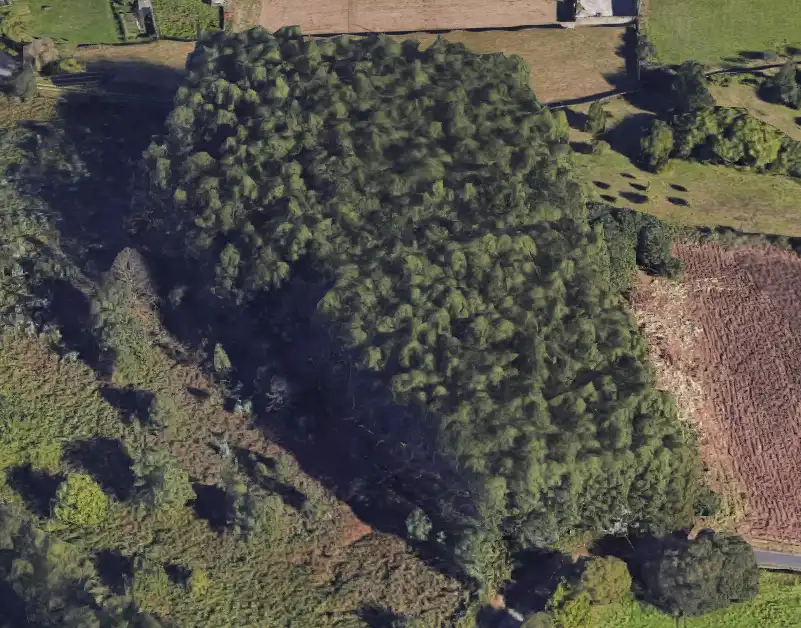 Terrenys i solars en venda a Camiño de Poliña 19, imagen 2