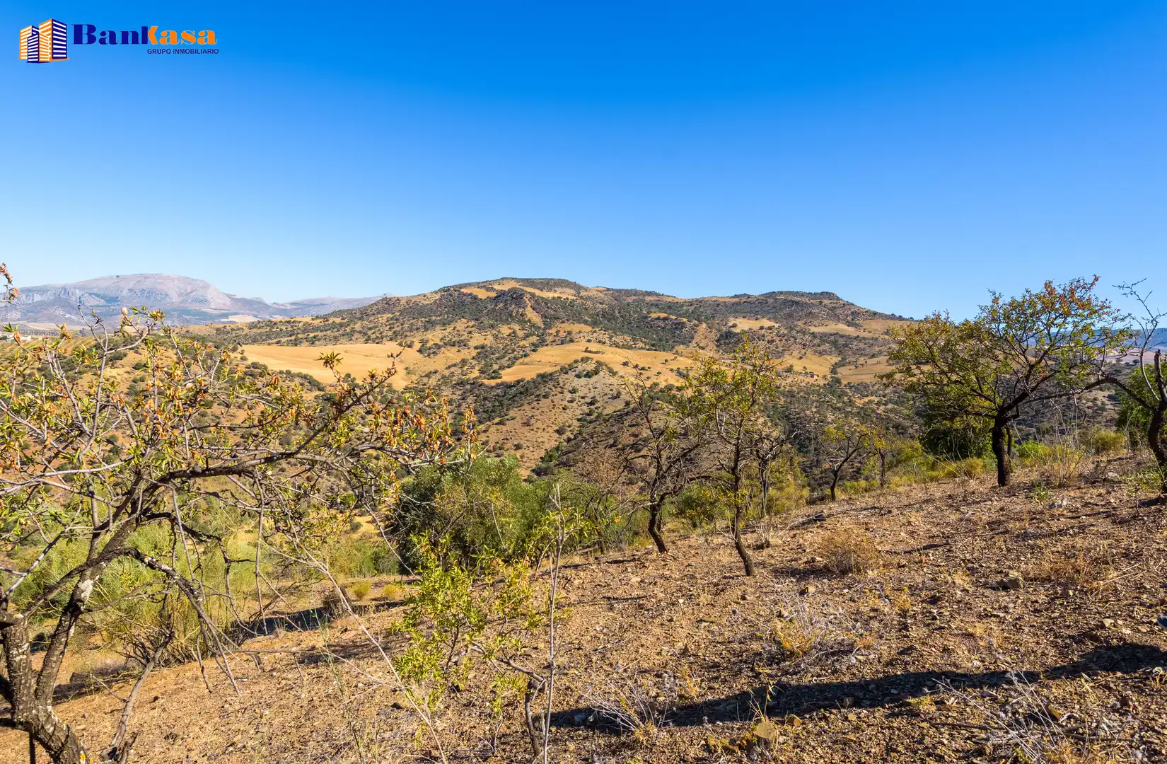 Finca rústica en venta en Álora con Jardín privado y Trastero