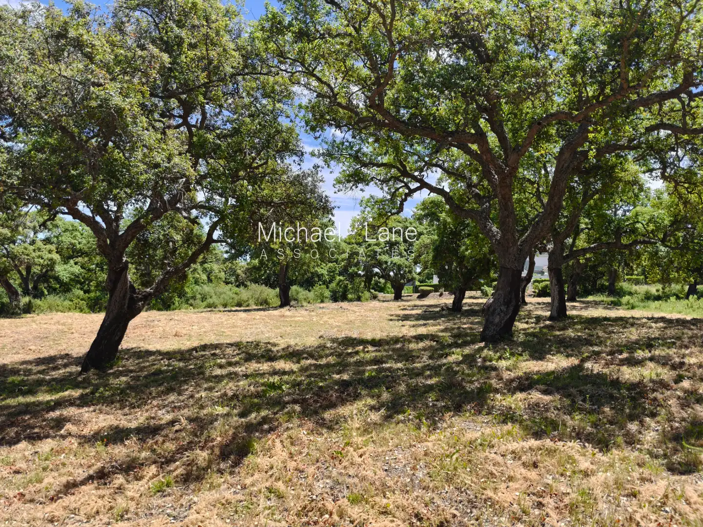 Terreni e lotti in vendita a Sotogrande Alto, imagen 5