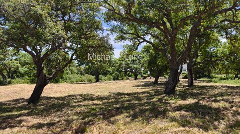 Foto 5 de Residencial en venta en San Roque Club, Sotogrande