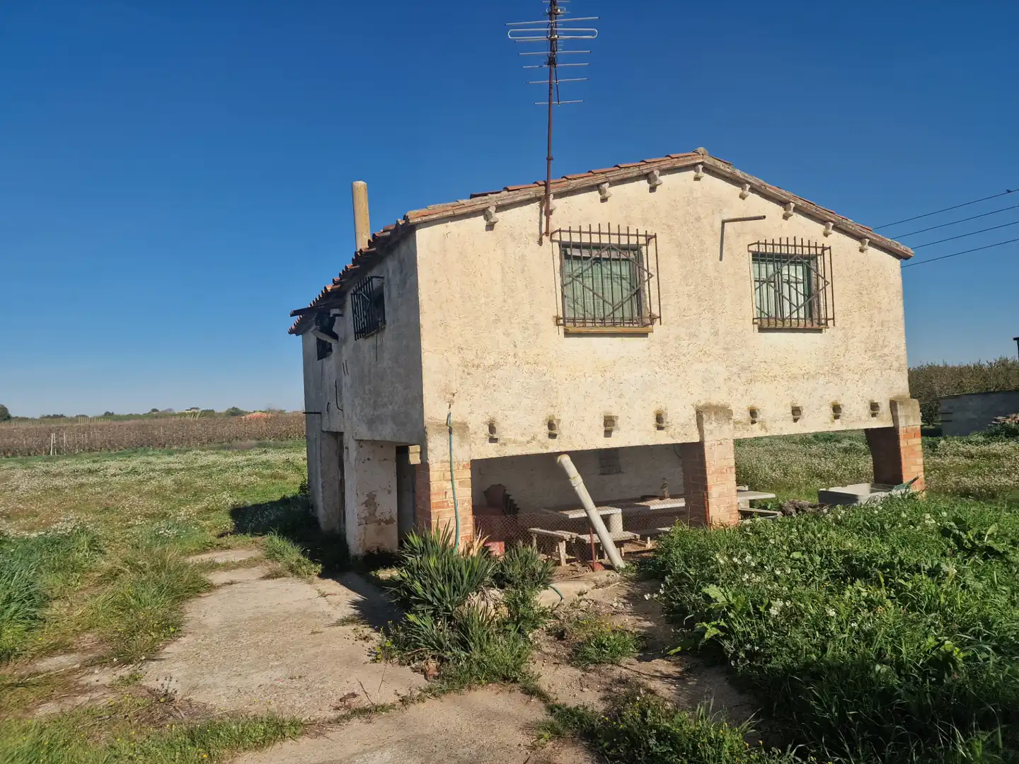 Vista exterior de Terreny en venda en Les Borges Blanques