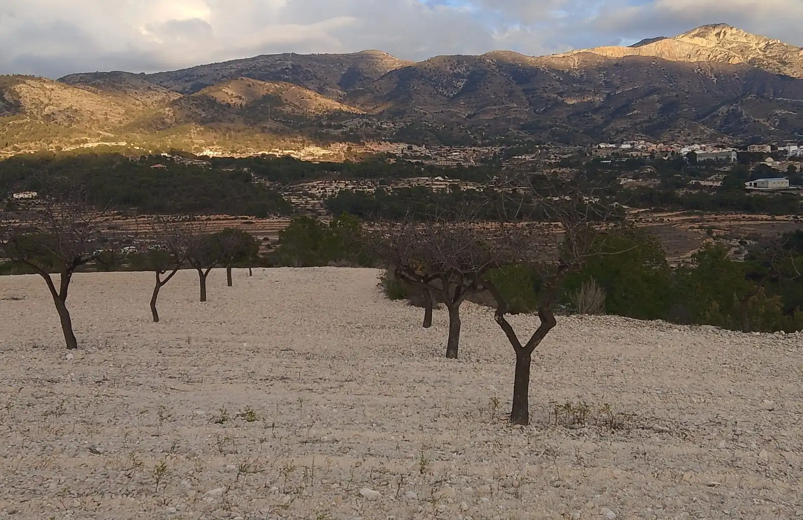 Terreno rustico in vendita a N/A, imagen 3