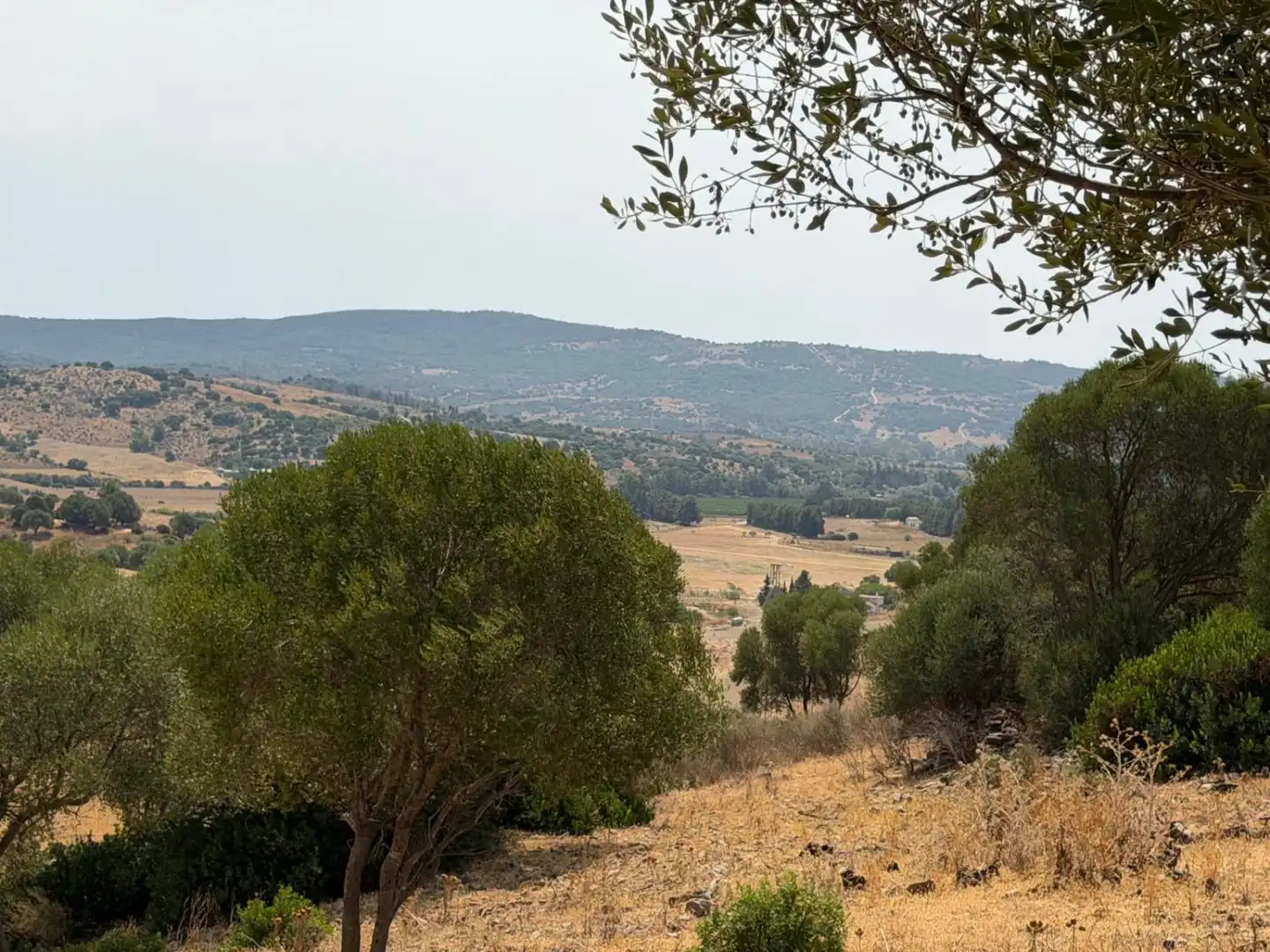 Casa rústica en venta en San Martín del Tesorillo, imagen 26
