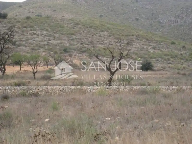 Terreno rustico in vendita a Hondón de los Frailes, imagen 2