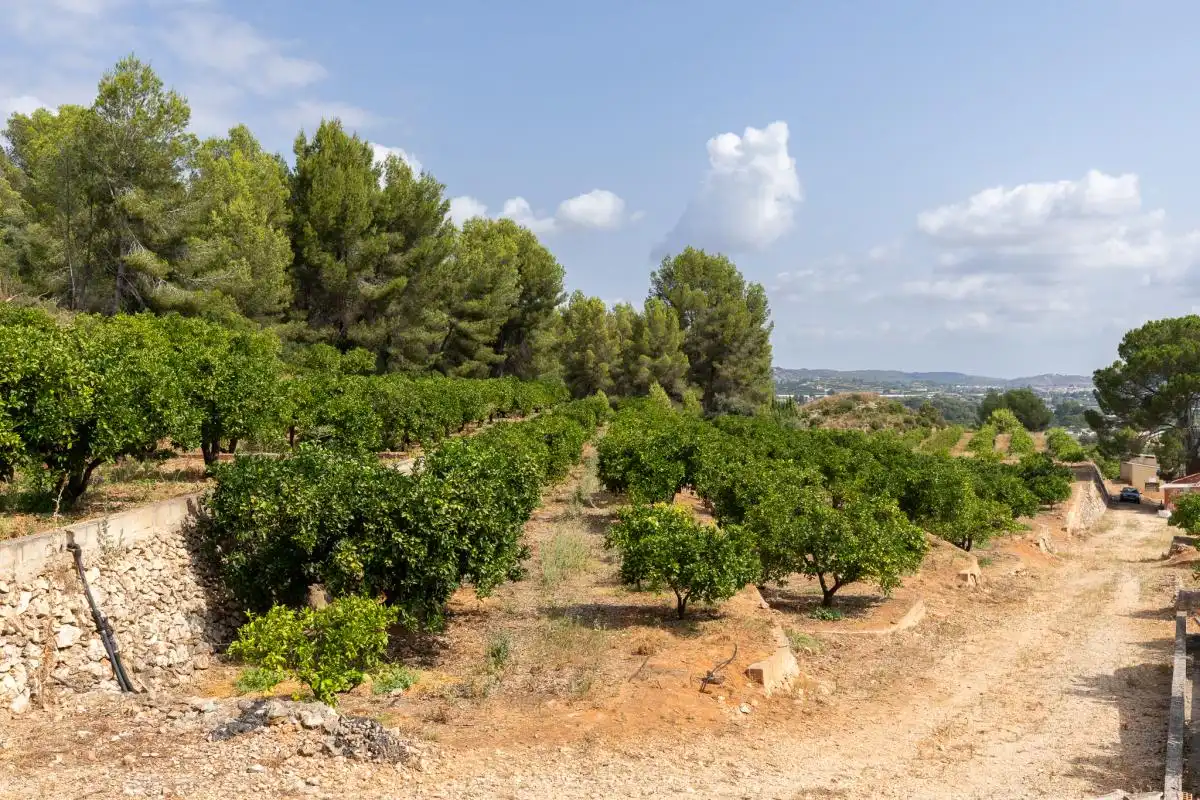 Casa o chalet en venta en Montesa con Calefacción, Jardín privado y Terraza