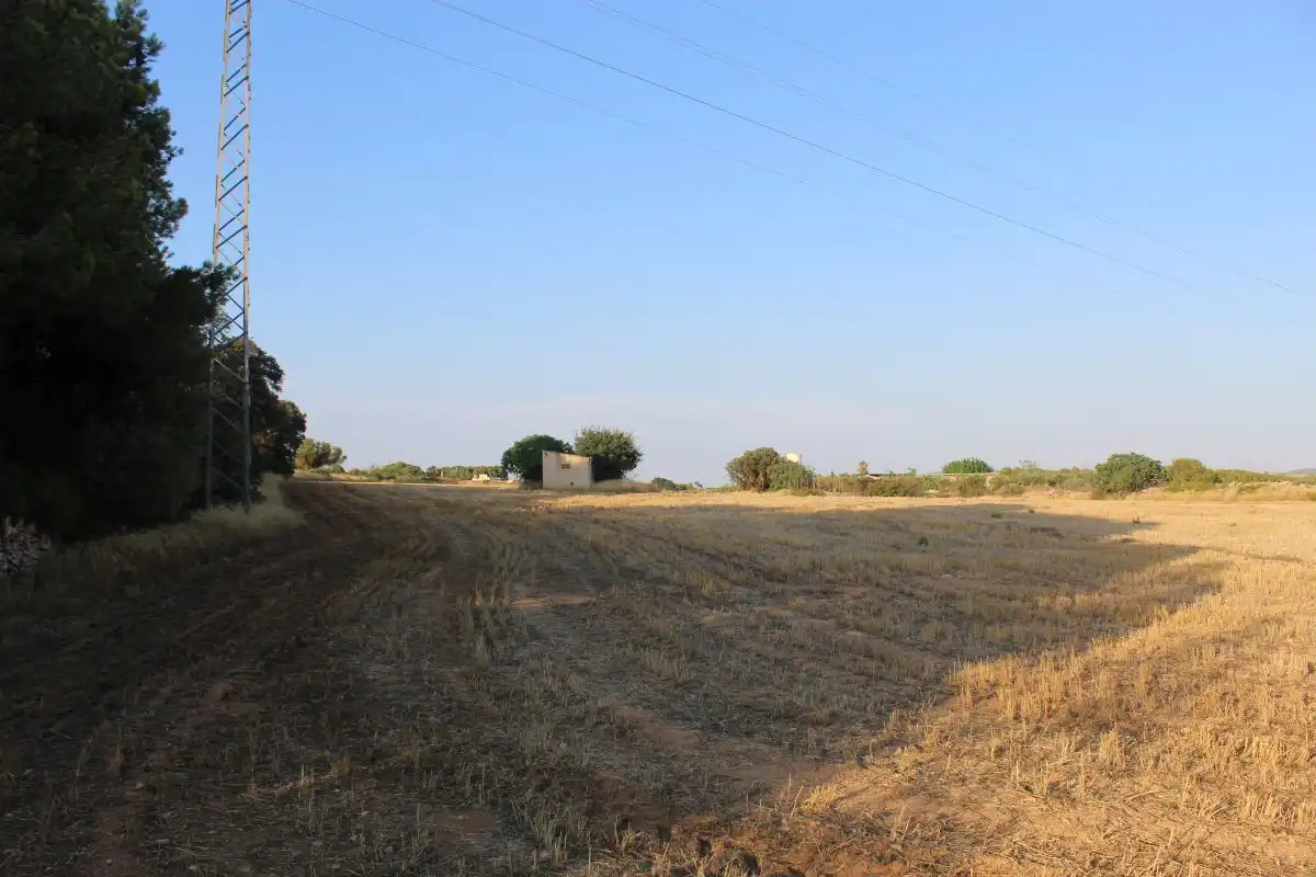 Terreno rústico en venta en Banyeres del Penedès, imagen 8