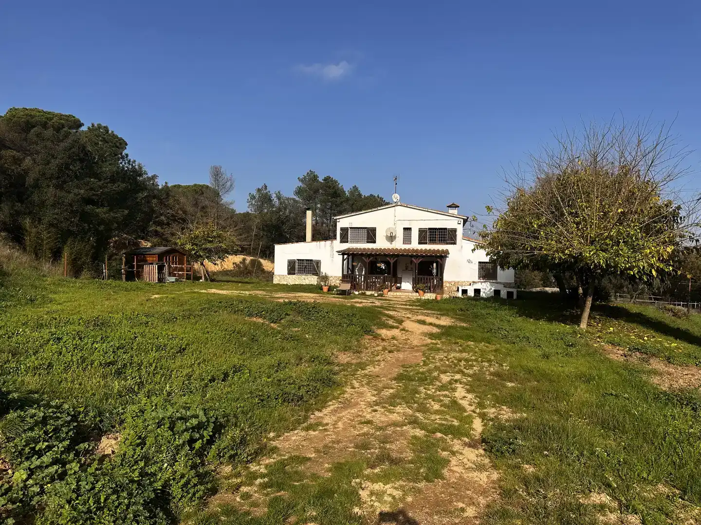 Vista exterior de Finca rústica en venda en Maçanet de la Selva
