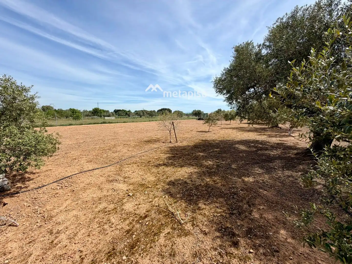 Terreno rustico in vendita a Santa Oliva, imagen 68