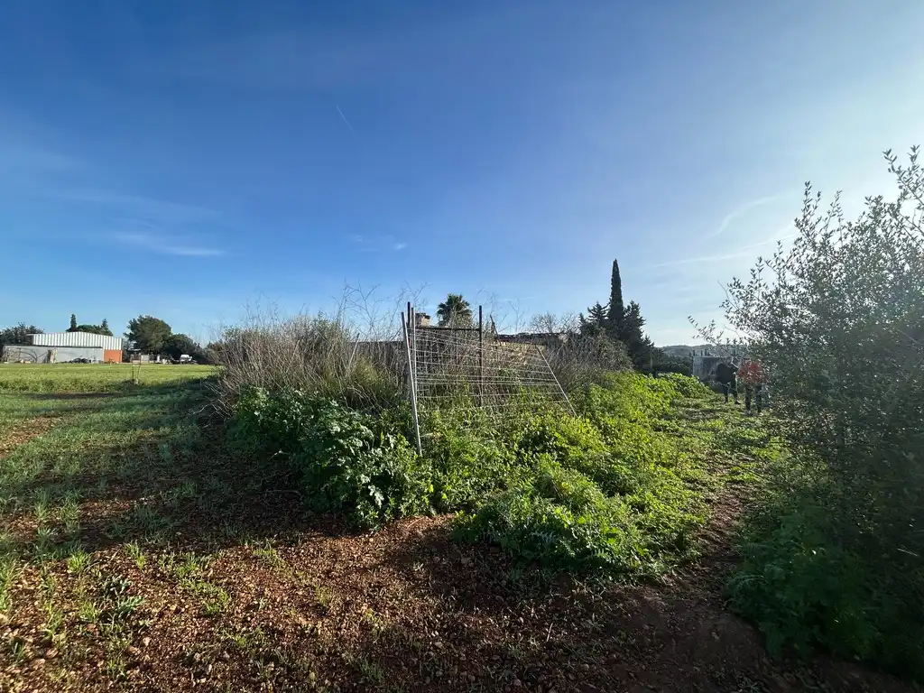Land for sale in Muro