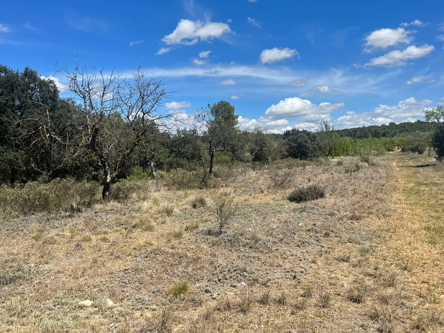 Terreni e lotti in vendita a Arens de Lledó, imagen 4