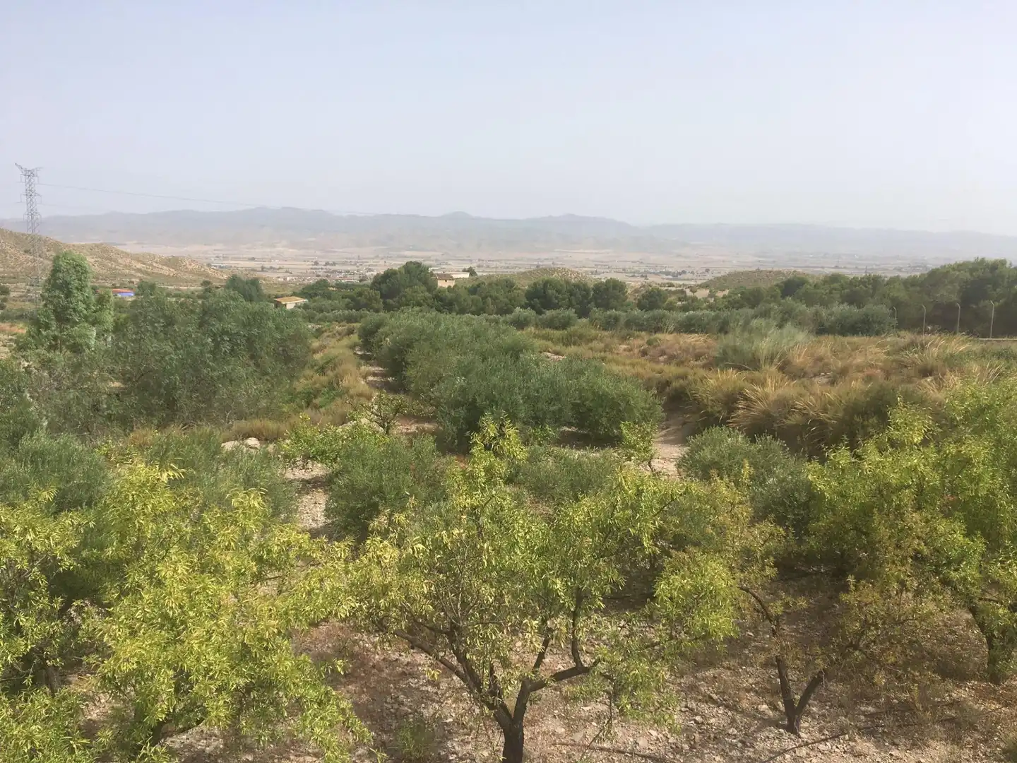 Country house zum Verkauf in Lorca mit Privatgarten und Schwimmbad